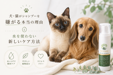 犬・猫がシャンプーを嫌がる本当の理由と、水を使わない新しいケア方法｜WITH10