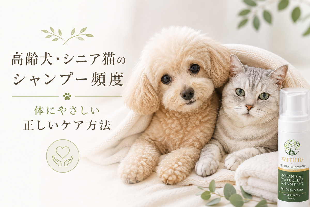 高齢犬・シニア猫のシャンプー頻度と、体にやさしい正しいケア方法
