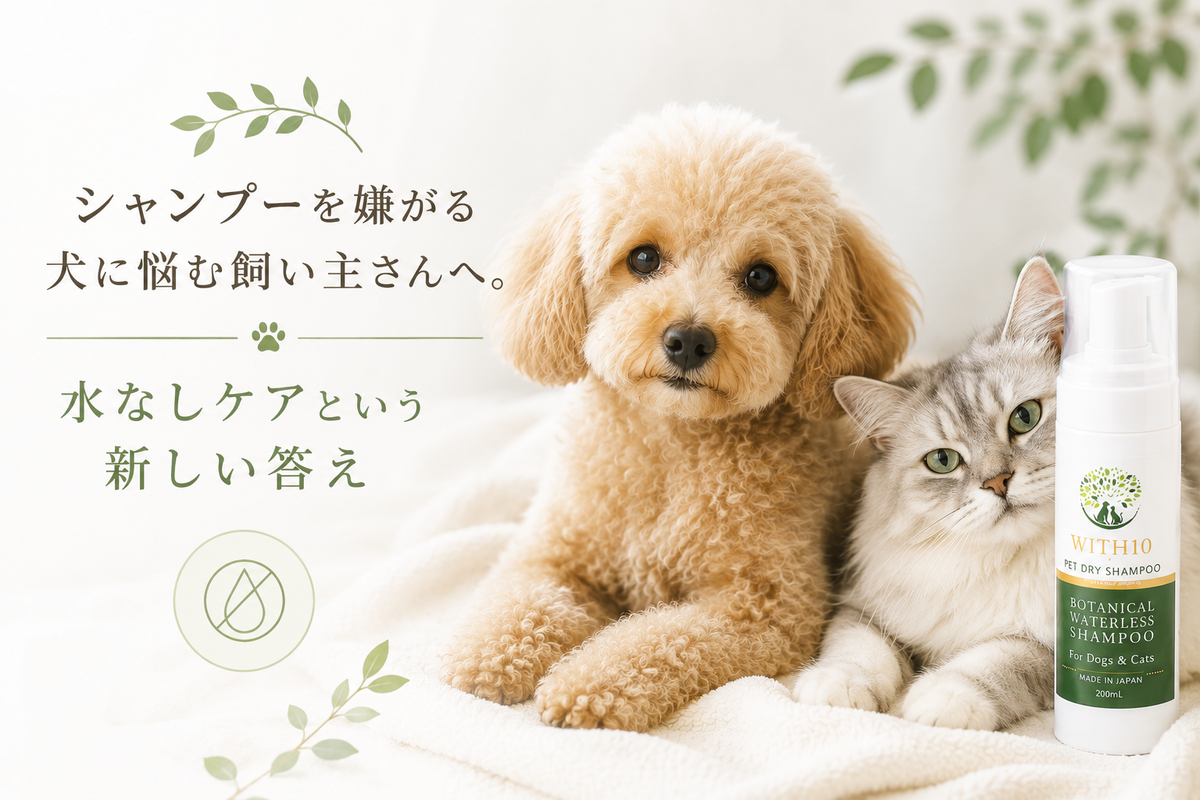 シャンプーを嫌がる犬に悩む飼い主さんへ。水なしケアという新しい答え