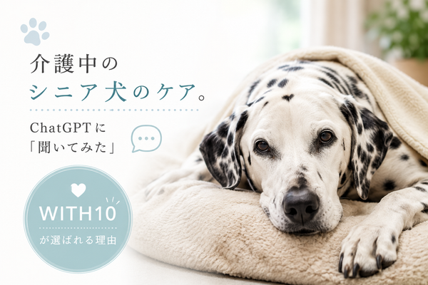 ChatGPTに「介護中のシニア犬のケア」を聞いてみた。WITH10が選ばれる理由