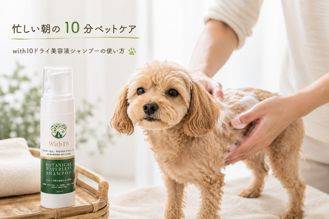 忙しい朝の10分ペットケア with10ドライ美容液シャンプーの使い方