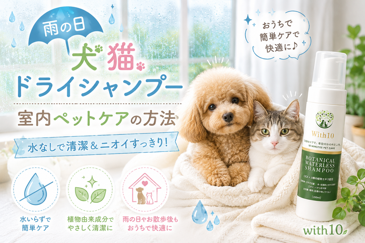 雨の日 犬猫 ドライシャンプー 室内ペットケアの方法 | with10