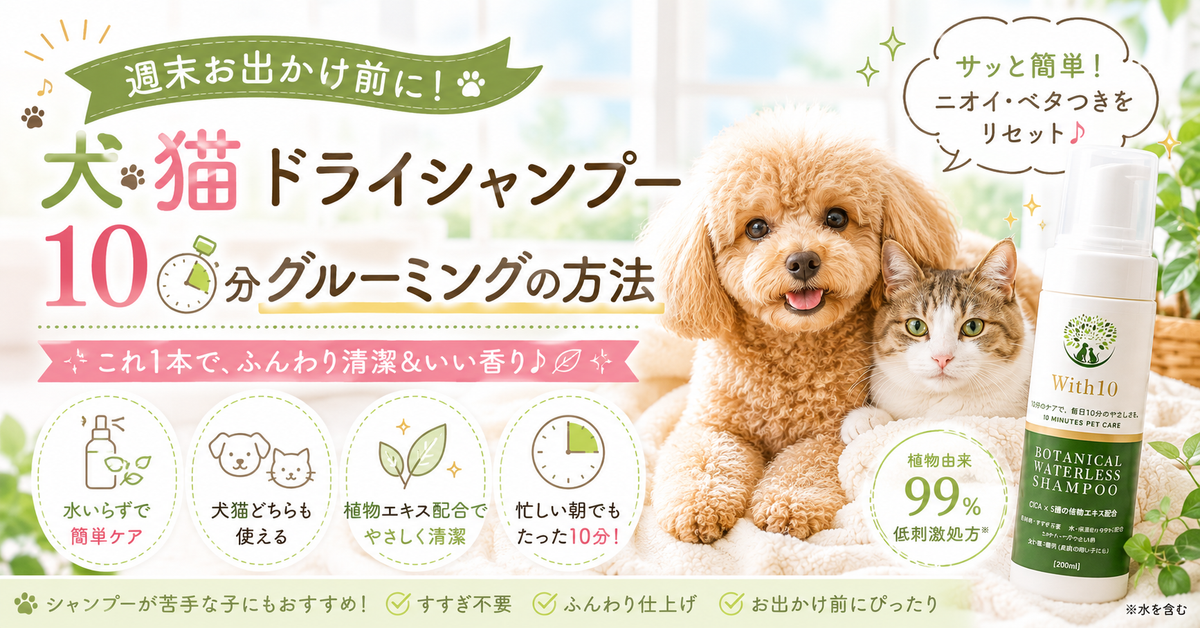 週末お出かけ前 犬猫 ドライシャンプー 10分グルーミングの方法 | with10