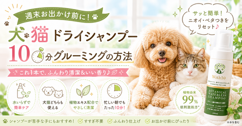 週末お出かけ前 犬猫 ドライシャンプー 10分グルーミングの方法 | with10