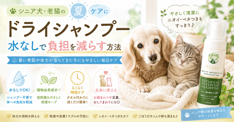 シニア犬 老猫 夏ケア ドライシャンプー 水なしで負担を減らす方法 | with10