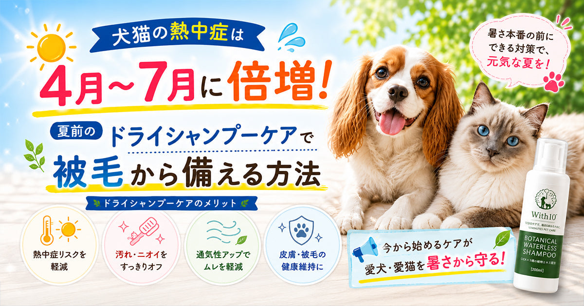 夏前に知っておく犬猫の熱中症対策。ドライシャンプーで被毛を清潔に保つ重要性