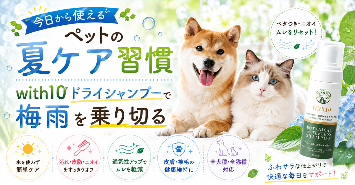 今日から使えるペットの夏ケア習慣 with10ドライシャンプーで梅雨を