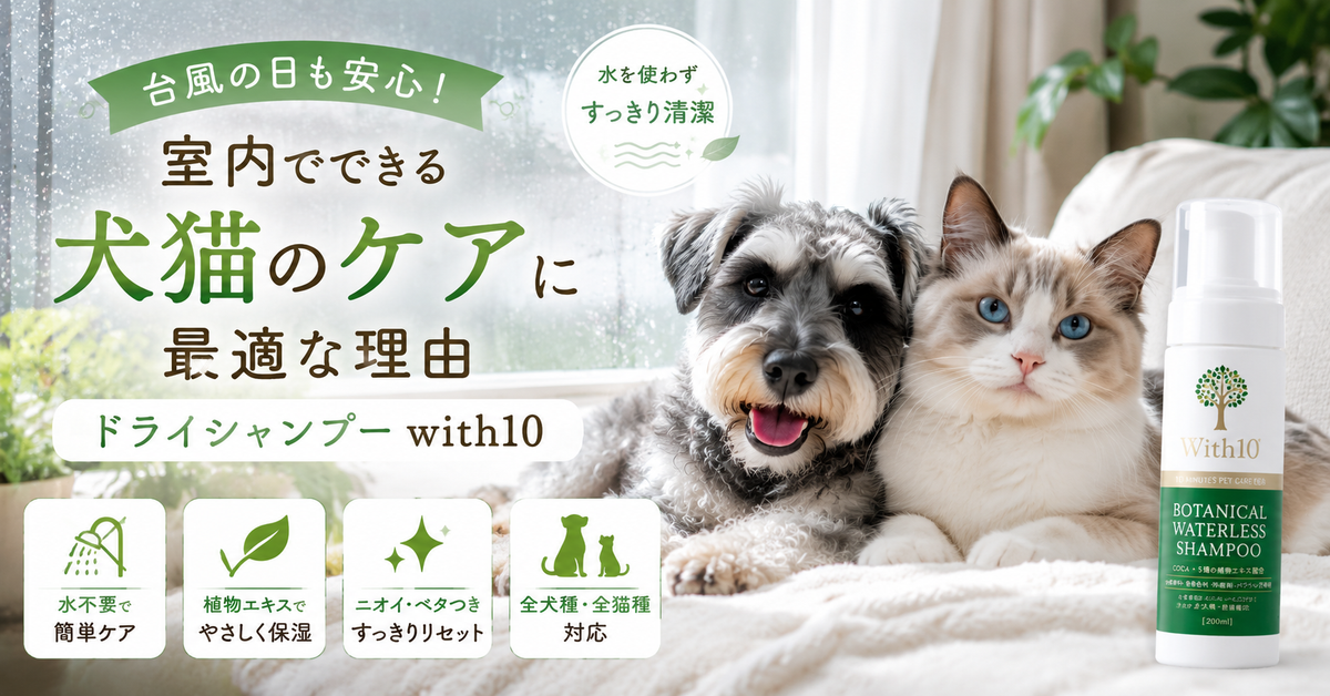 台風で外に出られない日こそペットのケア日和。室内ドライシャンプーで過ごす正しい時間