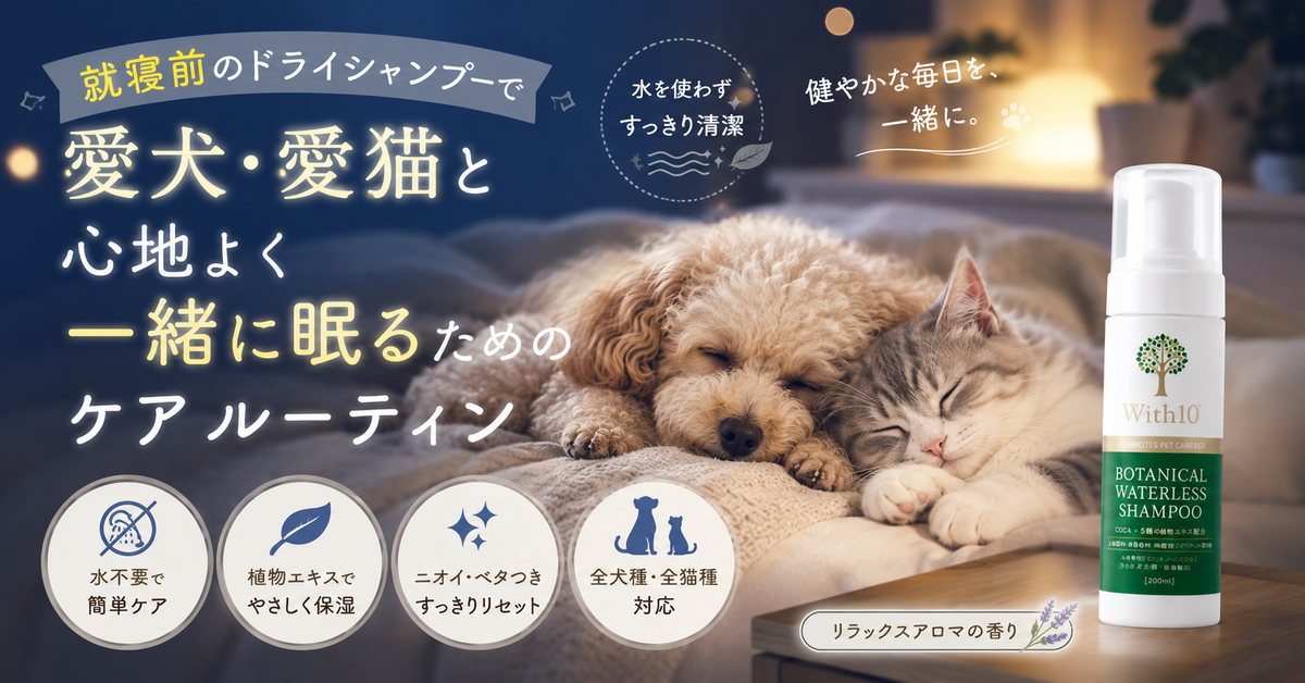 就寝前のペットケアが睡眠の質を変える。犬猫と一緒に眠るための夜のドライシャンプールーティン
