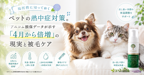 梅雨前に知っておくペットの熱中症対策。アニコム損保データが示す「4月から倍増」の現実と被毛ケア
