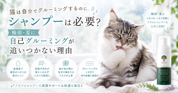 猫は自分でグルーミングするのにシャンプーは必要？梅雨・夏に自己グルーミングが追いつかない理由