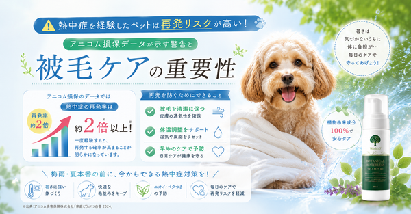 熱中症を経験したペットは再発リスクが高い。アニコム損保データが示す警告と被毛ケアの重要性