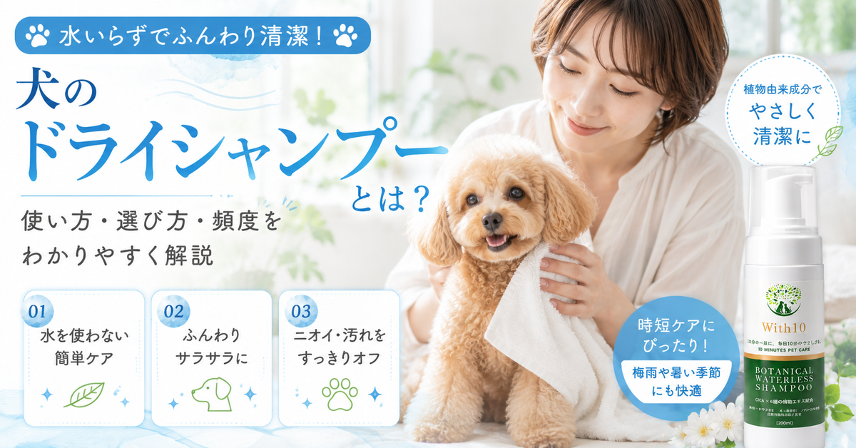 犬のドライシャンプーとは？使い方・選び方・頻度をわかりやすく解説