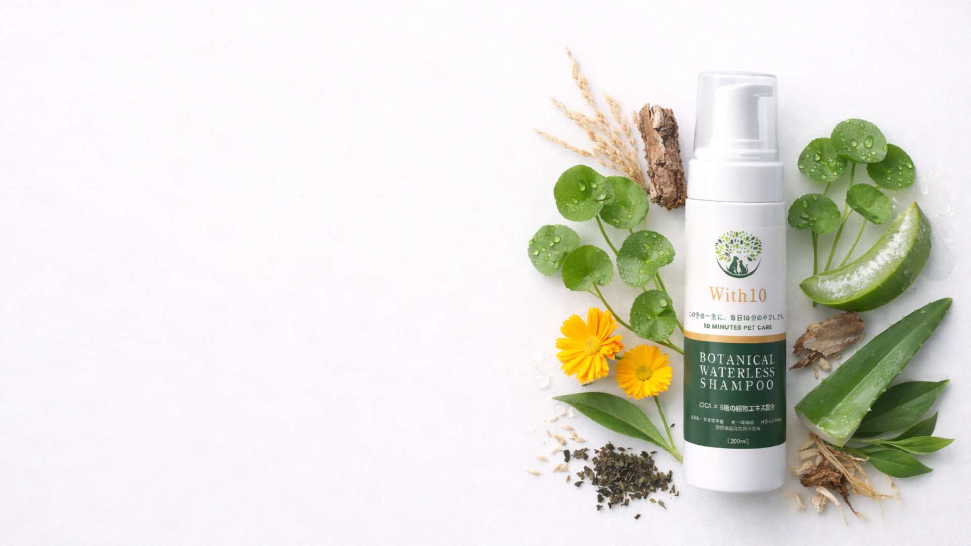 人のスキンケアで実証された成分を、ペット処方に落とし込みました。<br>
この子の一生に、毎日10分の優しさを。