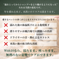 Victorian Mask (ヴィクトリアンマスク) 公式通販 WITH10 ボタニカルウォーターレス美容液シャンプー 200ml｜犬・猫共用｜水不要 