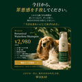 Victorian Mask (ヴィクトリアンマスク) 公式通販 WITH10 ボタニカルウォーターレス美容液シャンプー 200ml｜犬・猫共用｜水不要 