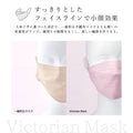 Victorian Mask ヌーディベージュ × ブラウンベージュふつう(レディース) マスク
